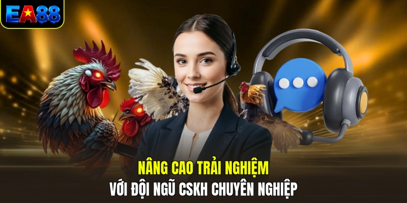 nang cao trai nghiem voi doi ngu cskh chuyen nghiep nang cao trai nghiem voi doi ngu cskh chuyen nghiep